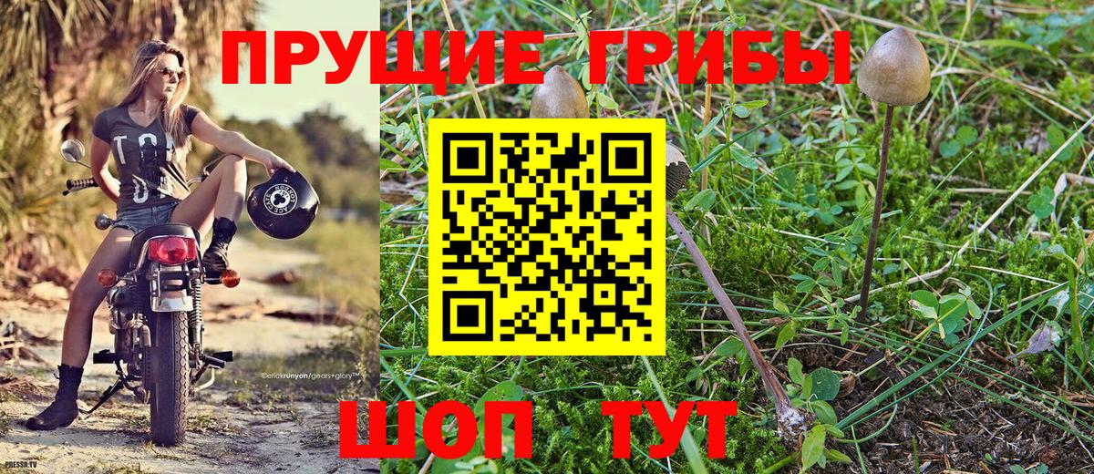 Галлюциногенные грибы прущие грибы Королёв
