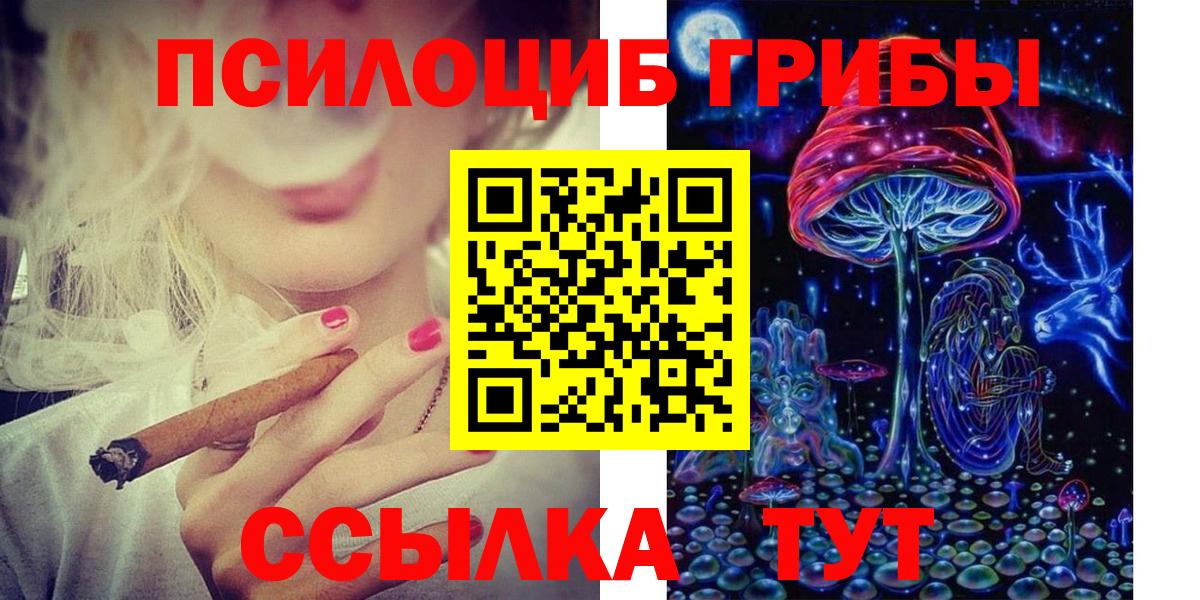 Королёв  Псилоцибиновые грибы мицелий  купить наркоту  Вход с VPN 